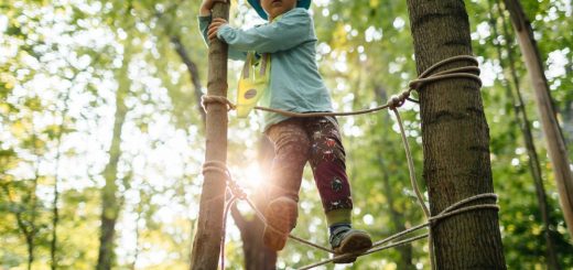 Wälder und naturbelassene Grünflächen liegen für viele Stadtkinder meist in weiter Ferne. Dabei bietet die Natur eine ganz besondere Lernumgebung für Kinder. (© 2018 FRÖBEL e.V., Foto: Franziska Werner)